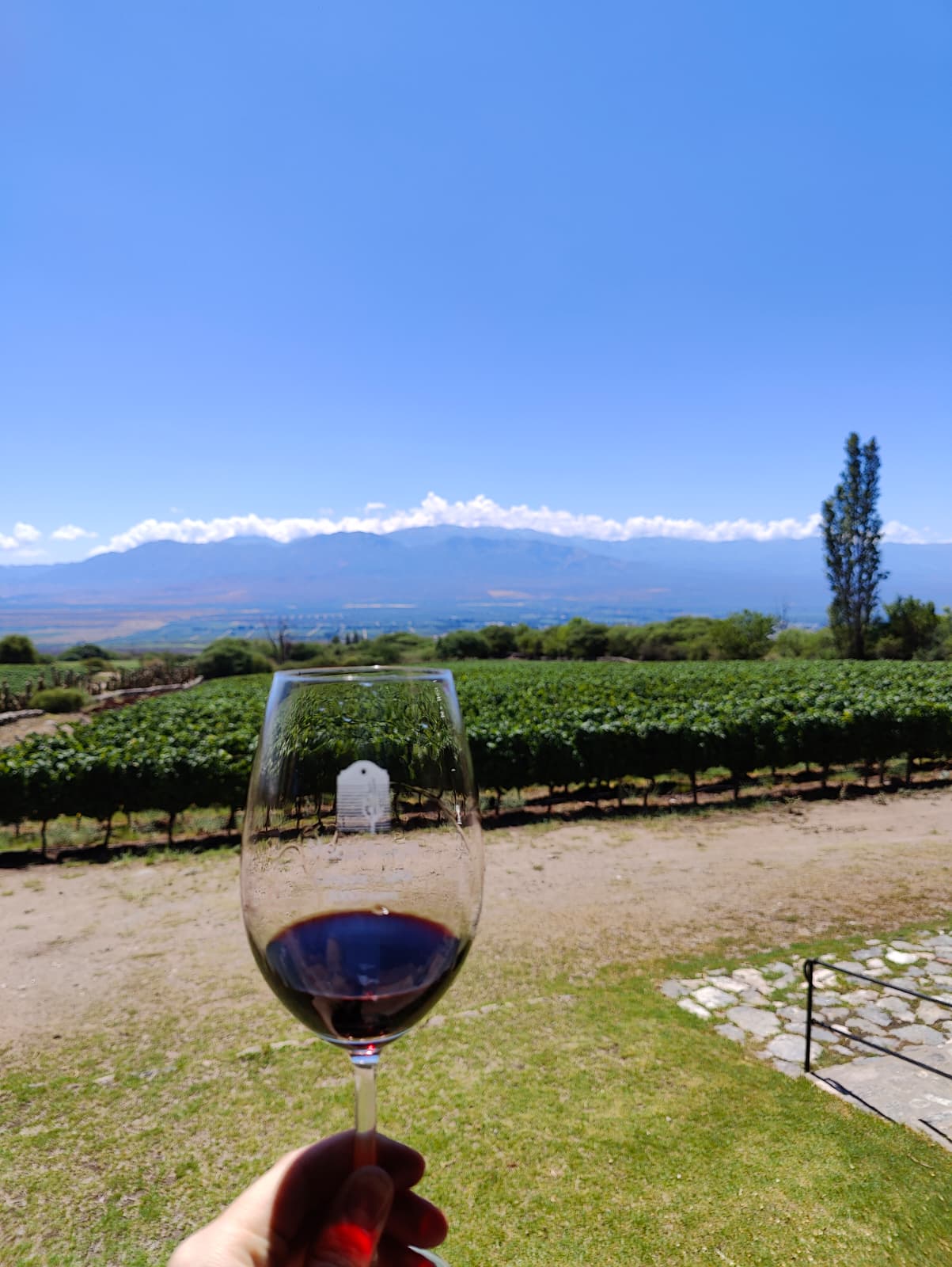 A glass of red wine held up over the vineyards and mountains of Cafayate