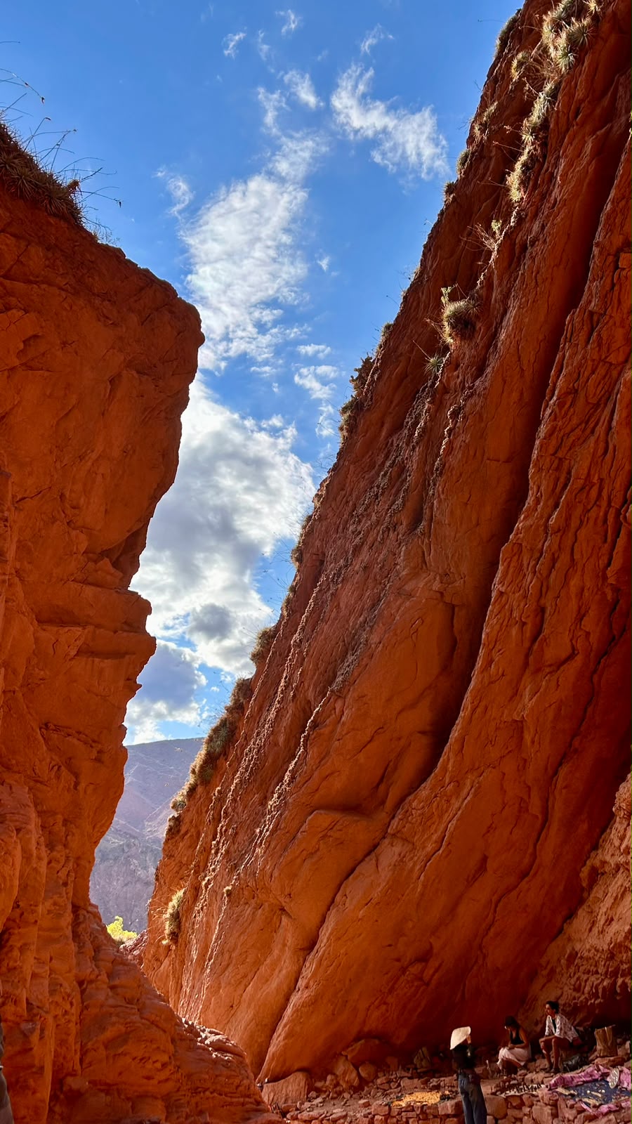 Towering red rock walls of a canyon on the road to Cafayate